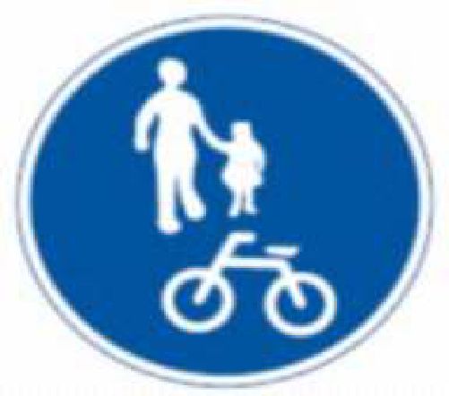 What does this safety sign mean?