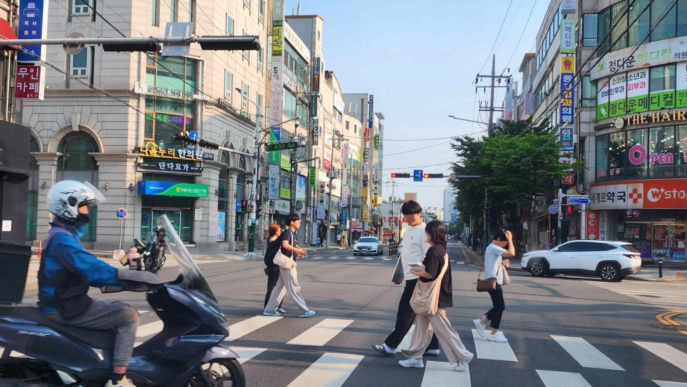 前方车辆信号灯为红灯 · 前方行人信号灯为绿灯 · 交叉路口前有停止线和人行横道